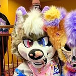 ☆Lulu The Wolf☆ - @lulu_the_wolf_ - Instagram