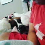 Lulu Wolf - @lulu_wolf_897 - Instagram