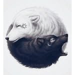 lulu_wolf - @lulu_wolf17 - Instagram