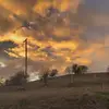 luluwolf2 - @luluwolf2 - TikTok