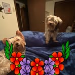 Lulu Wright - Facebook