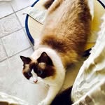 Luming Wang - @luming.wang.52 - Instagram
