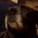 Luna Allison - @luna_23434 - Instagram