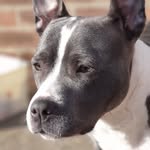 Luna Atkinson - @luna_acko - Instagram