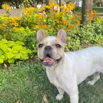 luna - @lunaayerss - Instagram