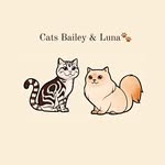 Bailey & Luna 😻 - @cats.bailey.luna - Instagram