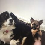 luna and bailey💘💞 - @luna.bailey123 - Instagram