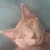 Luna_bailey - @luna.baileyy - TikTok