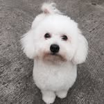 Luna. Bailey. Cooper - @luna.bailey.cooper - Instagram