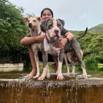 Luna Bailey Django & Shiloh - @luna_and_pack - Instagram