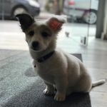 Luna Baker - @lunabaker_gr - Instagram