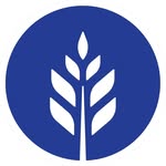 Luna bakery | بیکری لونا - @mylunabakery - Instagram
