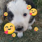 Luna Barrera - Facebook