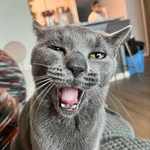Luna Barrett - @lunabarrett3605 - Instagram