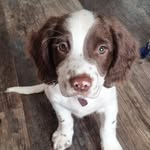 Luna Barrett - @lunas_adventures21 - Instagram