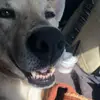 Luna Bates - @lunareclipse75 - TikTok