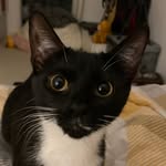 Luna Fordham-Bates - @lunafordhambates - Instagram
