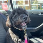 Luna - @luna.bates22 - Instagram