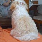 @luna._beck - Instagram