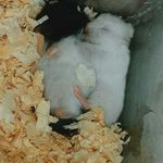 Luna e beck - @luna.beck_ - Instagram