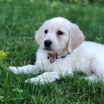 Luna Bender - @_omg_its_luna_ - Instagram