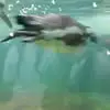 Luna - @benderluna - TikTok