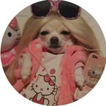 ✧*:.｡.𝓛𝓾𝓷𝓪._.𝓑𝓮𝓷𝓷𝓮𝓽𝓽.｡.:*✧ - @luna._.bennett - Instagram