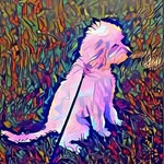 Luna Bennett - @luna_y_noche - Instagram
