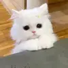 Luna Bennett - @luna.bennett97 - TikTok