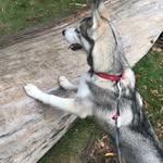 Luna Bennett - @lunasworld2.0 - Instagram