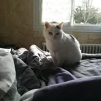 Luna Berger - Facebook