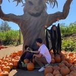 Bernardo Luna - @luna.bernardo - Instagram