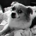 luna_bernard_😘 - @luna592004 - Instagram