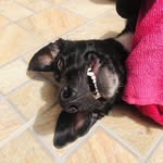 Luna - @luna.bernardes - Instagram