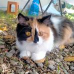 Luna Black - Facebook