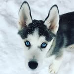 Luna Blue - @im_luna_blue_ - Instagram