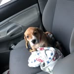 Luna Bowen - @luna.bowen - Instagram