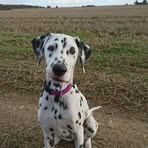 Luna Brady-Ip - Facebook