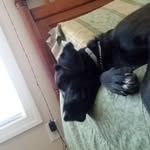 Luna&Brady - @lunabrady7 - Instagram