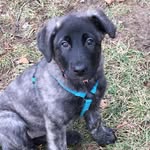 Luna Brewer - @lunas.journey8 - Instagram