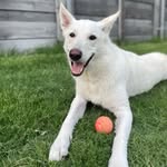 Luna Brewer - @luna_tic_brewer - Instagram