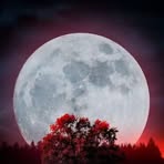 Luna Bright - Facebook