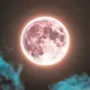Luna bright - @lunabright55381 - TikTok