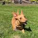 Luna Brown - Facebook