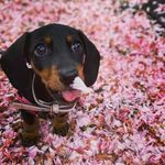 Luna Brown - @lunathelong - Instagram