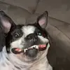 Luna Burger - @lunaburgerr - TikTok
