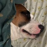 Luna, Miss Burger - @luna.burger.movie - Instagram