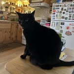 Luna Finklestein - @lunabyrdfinklestein - Instagram