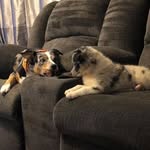Lily Mae & Luna Jae Calhoun - @lilymae_lunajae - Instagram
