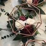 Luna Callahan - @just_quotey_things_love - Instagram